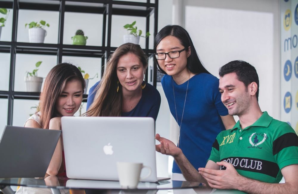 flavornest Website Builder